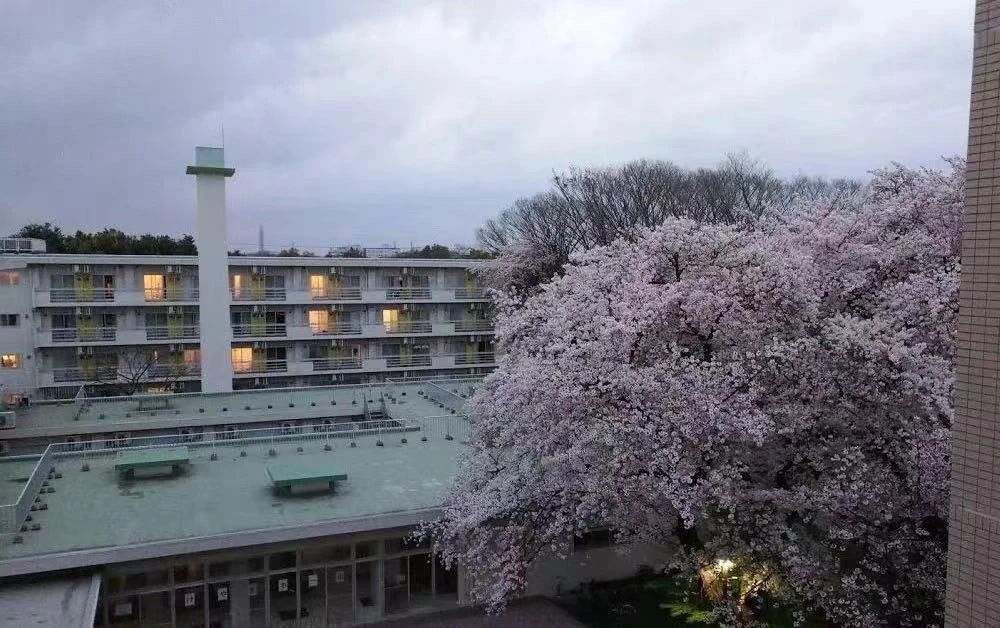 出國留學